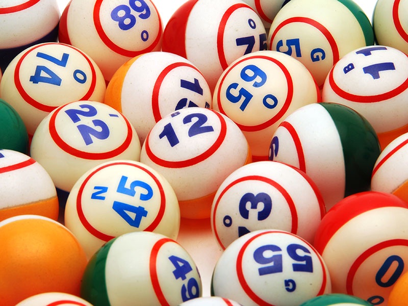 All that you should Find Out About Bingo Websites