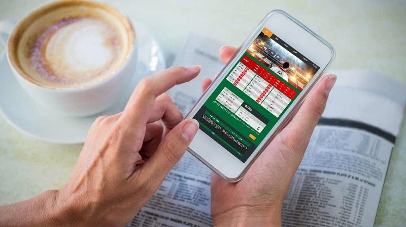 Indulge in online sports betting without risk